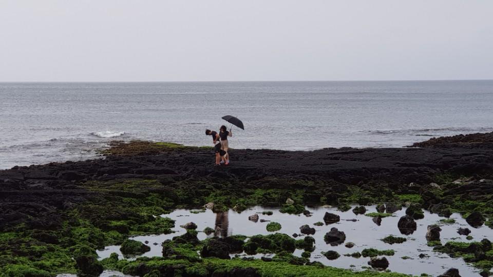 HANI Haus Jeju Exterior foto